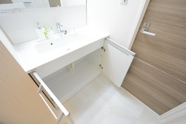 グランドメゾン野沢 洗面