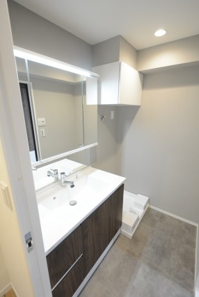 シャンボール小石川 洗面室