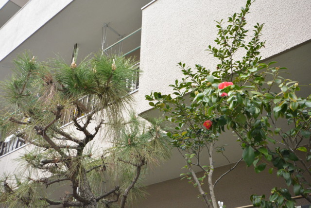 キャッスル世田谷 バルコニー