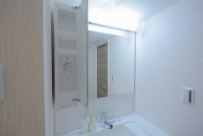 グランドメゾン野沢 洗面