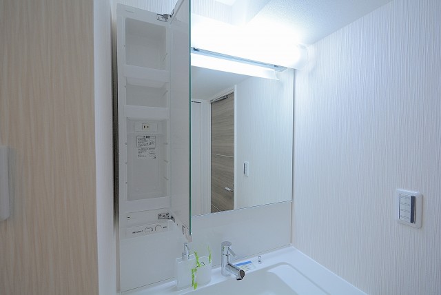 グランドメゾン野沢 洗面