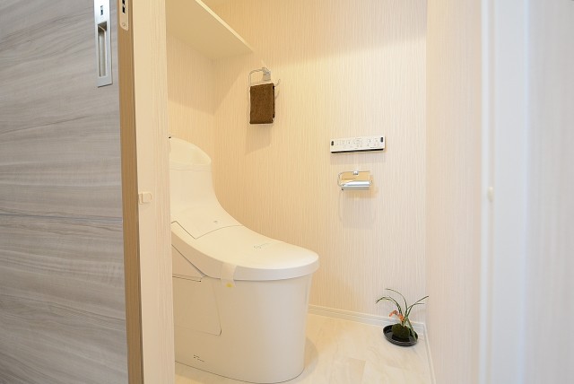 グランドメゾン野沢 トイレ