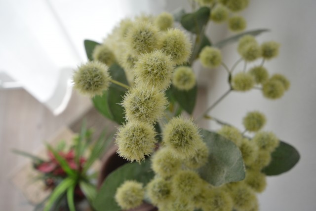 ライオンズマンション三軒茶屋第３ LDK