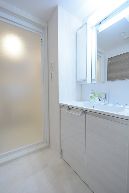 グランドメゾン野沢 洗面