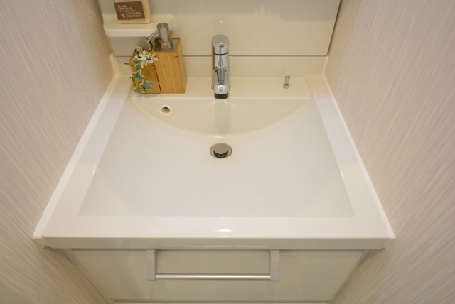 ライオンズマンション三軒茶屋第３ 洗面室