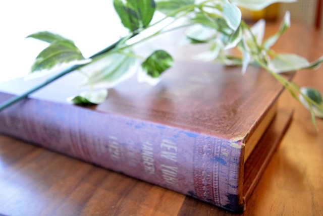 キャッスル世田谷 LDK