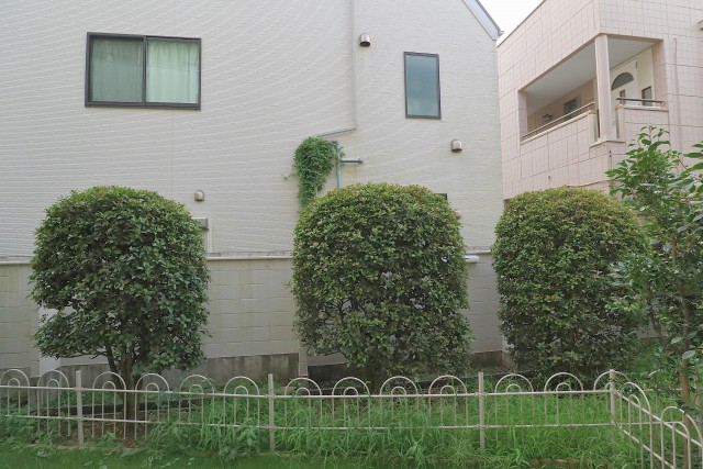 日商岩井桜新町マンション バルコニー