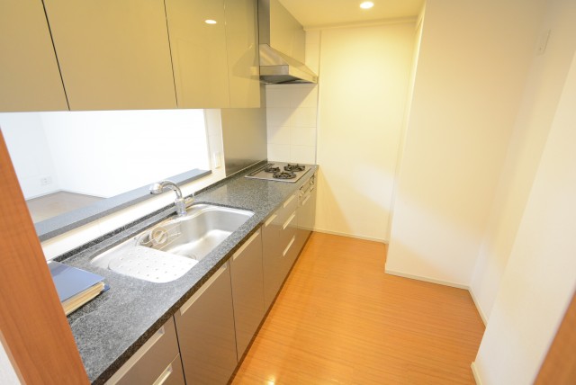 井の頭公園パークハウス吉祥寺南町 キッチン