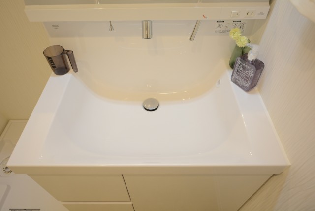 グリーンヒル新宿 洗面室