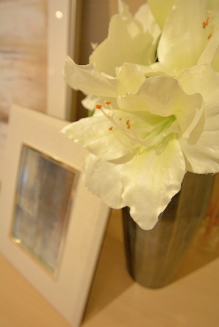 三田ナショナルコート ＬＤ