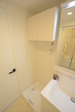 グリーンヒル新宿 洗面室