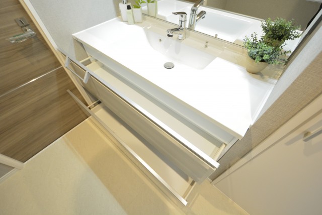 朝日プラザ東池袋 洗面室