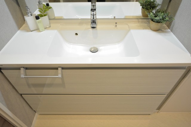 朝日プラザ東池袋 洗面室