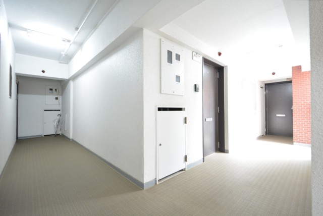 ライオンズマンション玉堤 玄関