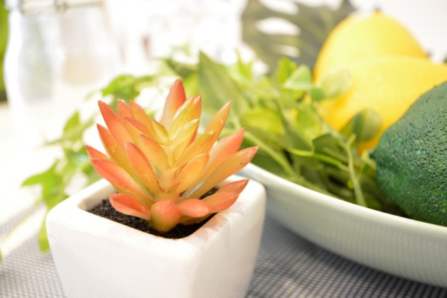 リシェ広尾 キッチン