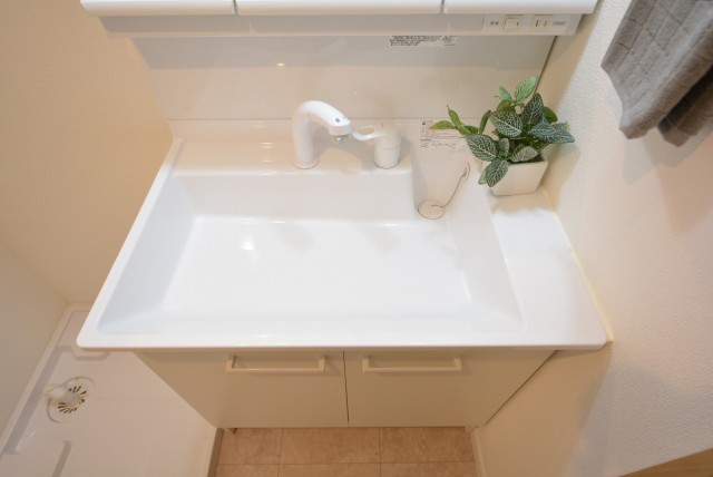 ツインシティ東砂アネックス 洗面室