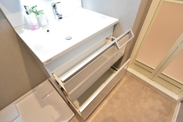 豊栄新都心マンション 洗面室