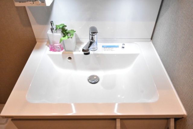 豊栄新都心マンション 洗面室