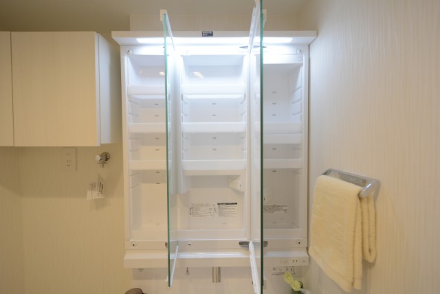 グリーンヒル新宿 洗面室