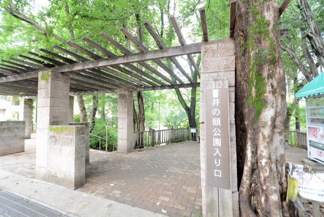 井の頭公園パークハウス吉祥寺南町 道中