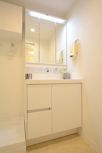 グリーンヒル新宿 洗面室