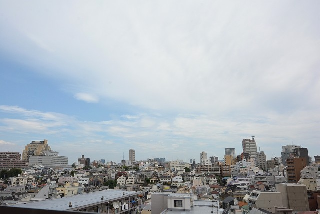 グリーンヒル新宿 (94)眺望