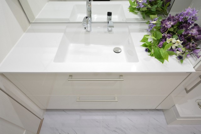 グランドステージ初台 洗面室