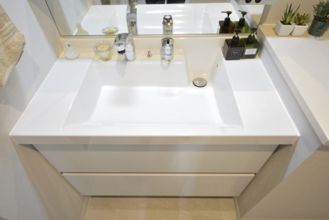 リシェ広尾 洗面室