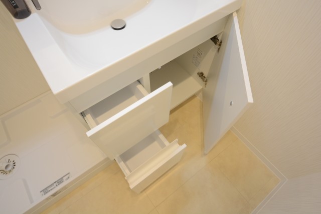 グリーンヒル新宿 洗面室