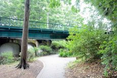 井の頭公園パークハウス吉祥寺南町 道中
