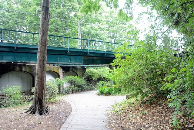 井の頭公園パークハウス吉祥寺南町 道中