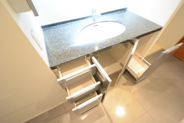 井の頭公園パークハウス吉祥寺南町 洗面室