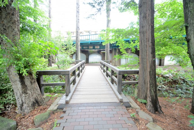 井の頭公園パークハウス吉祥寺南町 道中