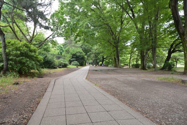 井の頭公園パークハウス吉祥寺南町 道中