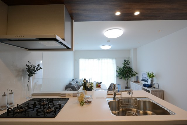 経堂セントラルマンション (55)