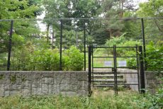 井の頭公園パークハウス吉祥寺南町 道中