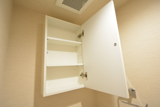 ライオンズマンション玉堤 トイレ