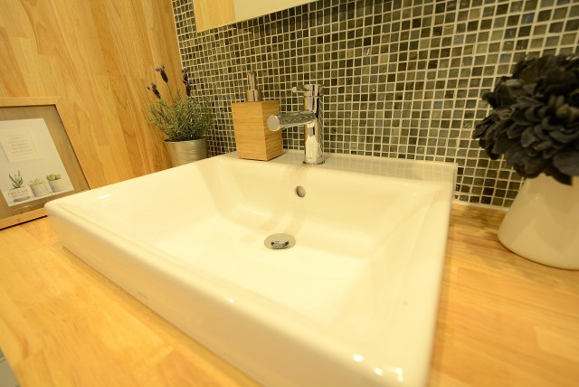 成城エコーハイツ (50)