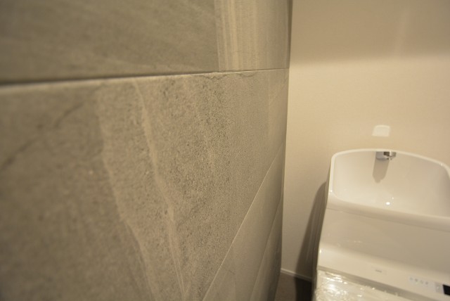 成城エコーハイツ (62)