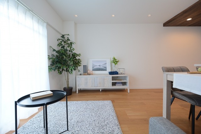 経堂セントラルマンション (31)