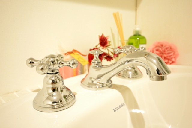 秀和恵比寿レジデンス 洗面室