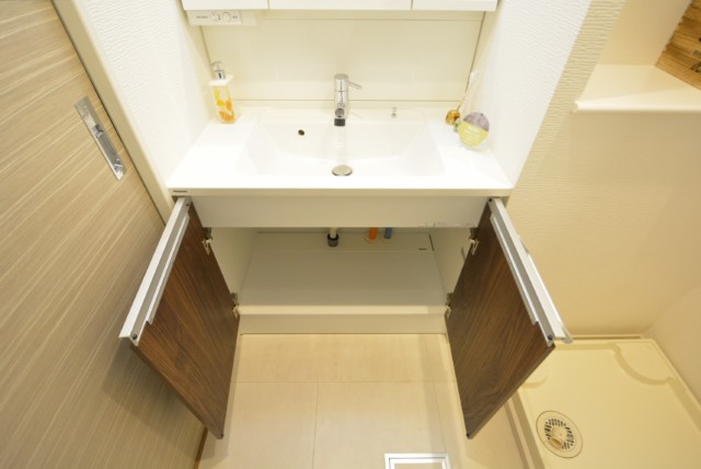 シャンボール小石川 洗面室