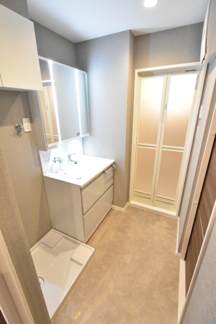 豊栄新都心マンション 洗面室