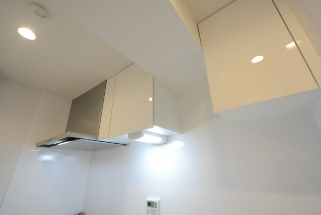 成城エコーハイツ (43)