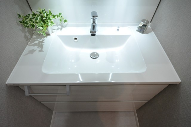 藤和大久保コープ 洗面室