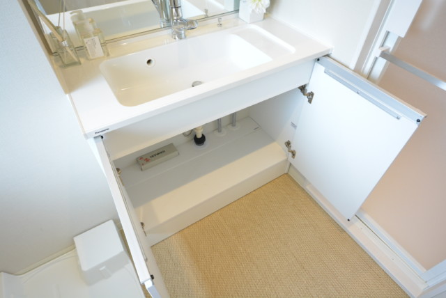 ライオンズマンション学芸大学 洗面室