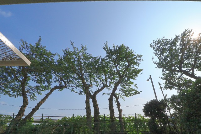 多摩川芙蓉ハイツ バルコニー