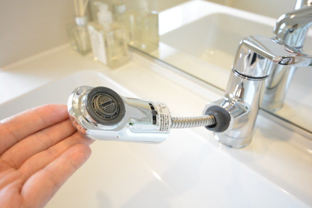 ライオンズマンション学芸大学 洗面室