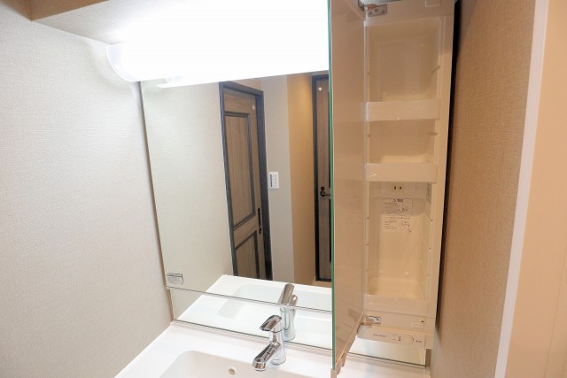 上馬ハイホーム 洗面