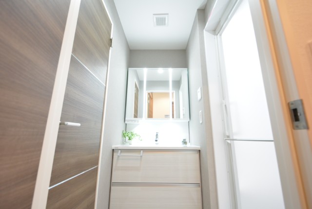 藤和大久保コープ 洗面室